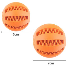 Dog Ball Toy