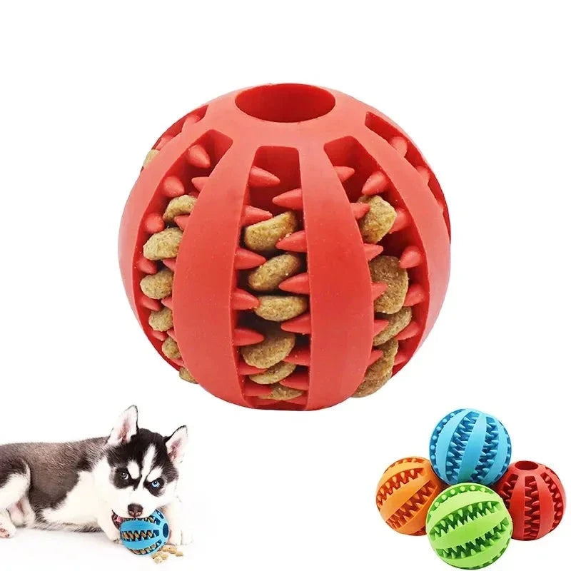 Dog Ball Toy