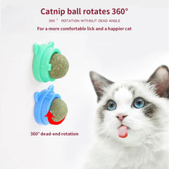 Spin Catnip Ball for Cats