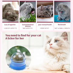 Spin Catnip Ball for Cats