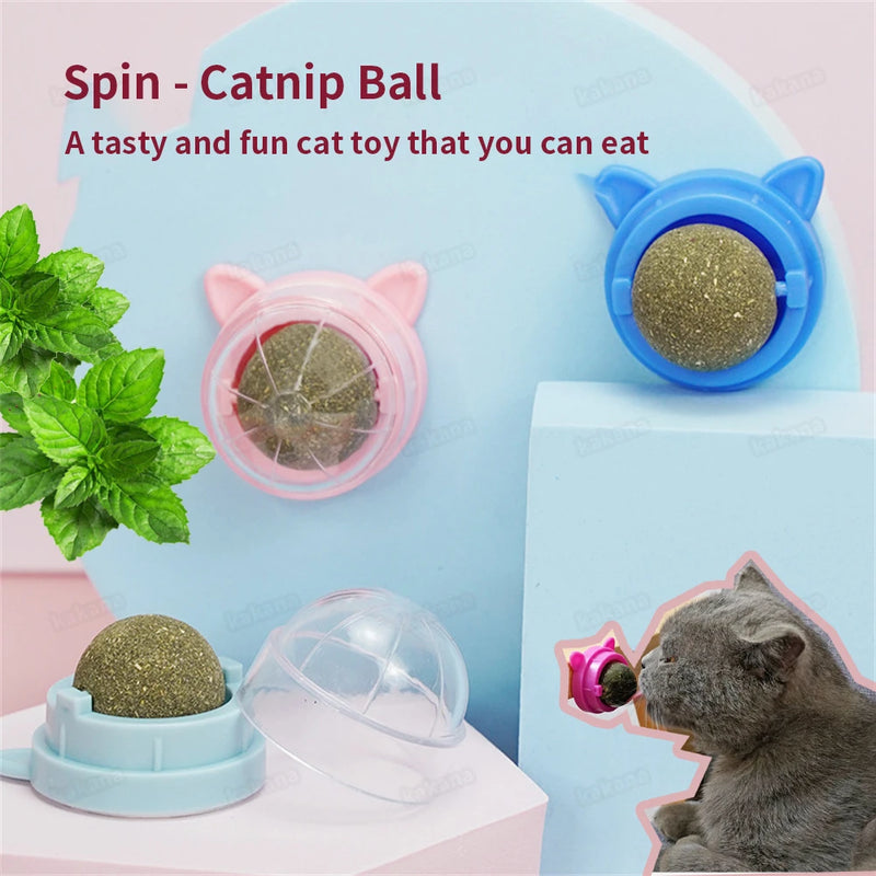 Spin Catnip Ball for Cats