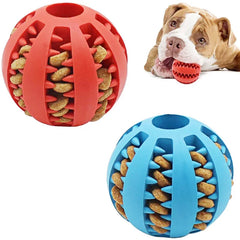 Dog Ball Toy