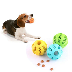 Dog Ball Toy