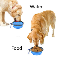 Collapsible Dog Silicone Bowl