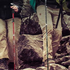 Trekking Hiking Poles