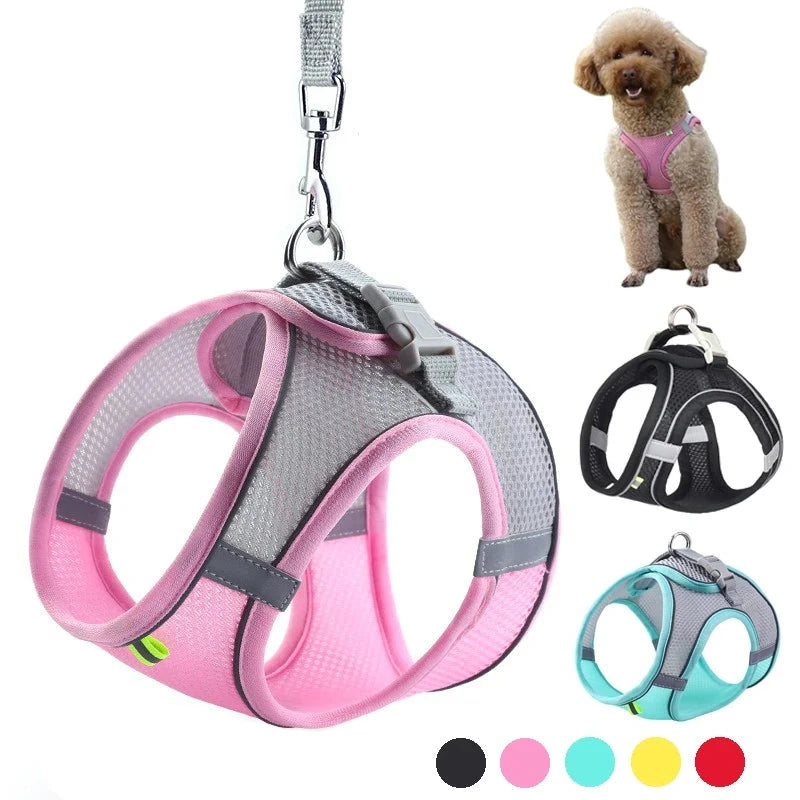 Dog Harness Leash Set